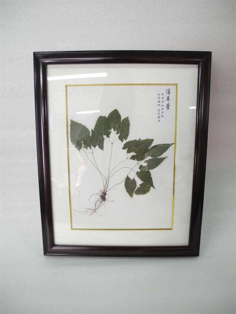 臘葉標(biāo)本制作注意事項(xiàng)