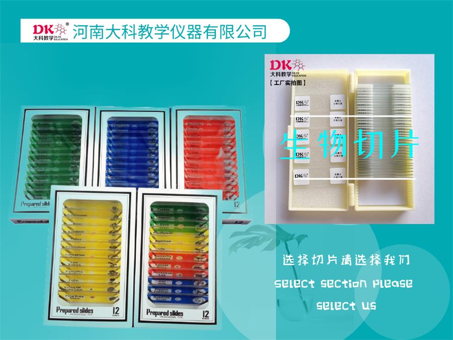  微生物切片標(biāo)本如何巧妙防潮