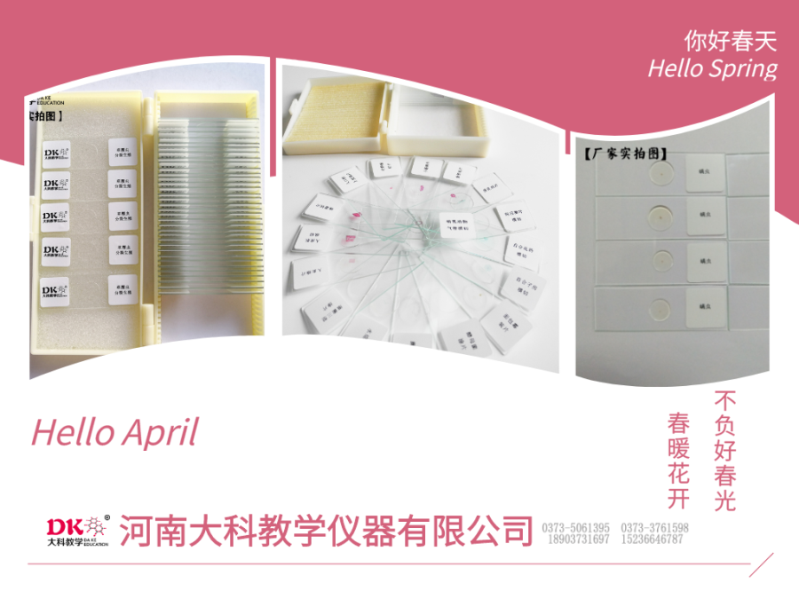 涂片、切片、裝片的區(qū)別?