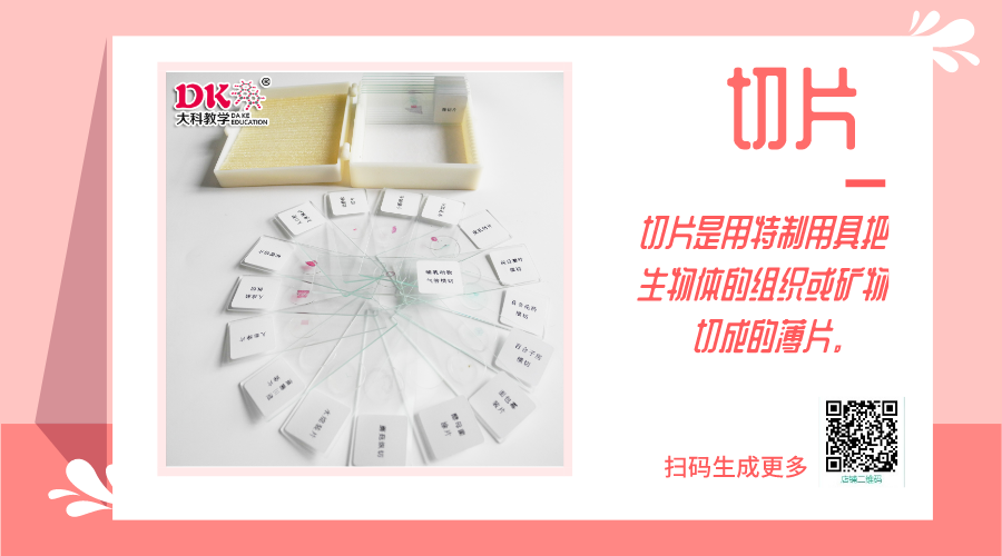 病理切片的制作過程