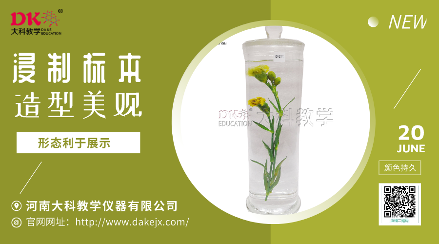 植物浸制標本的制作