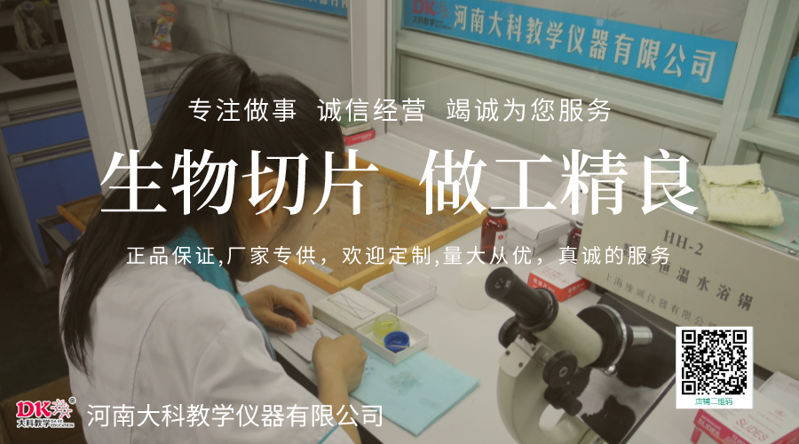 生物標本在教學中的作用