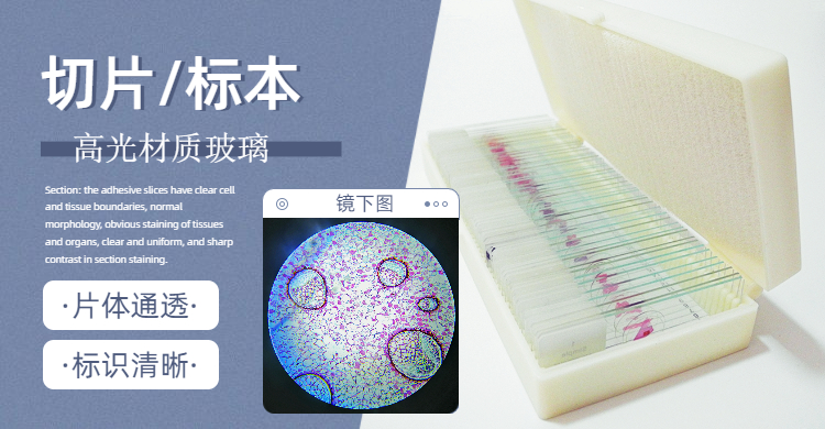 一張病理切片的意義