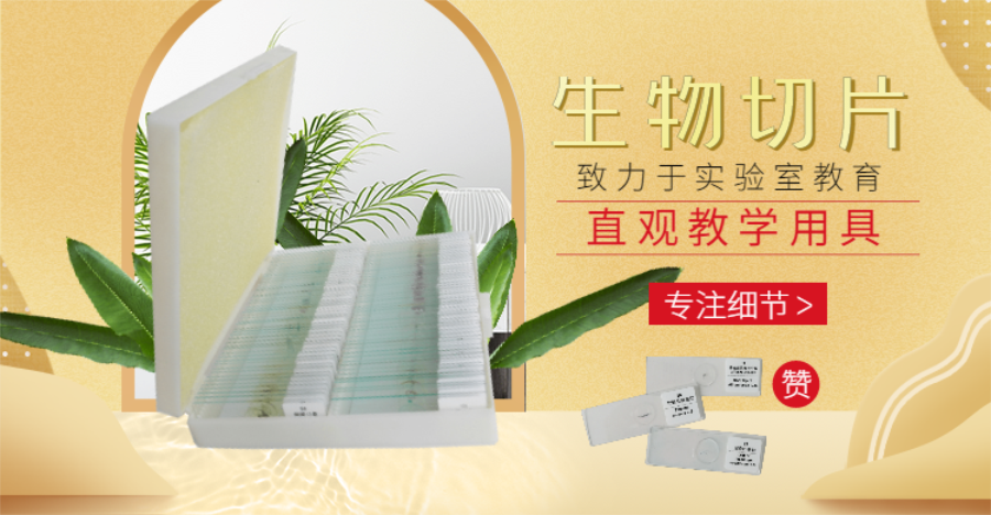 稿定設(shè)計(jì)導(dǎo)出-20200424-160732