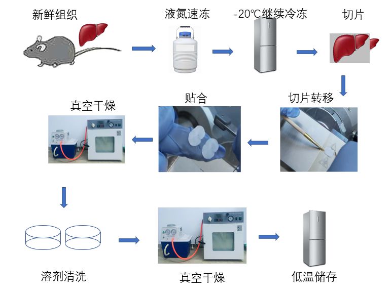 532184a32de240a6a706355312688f87