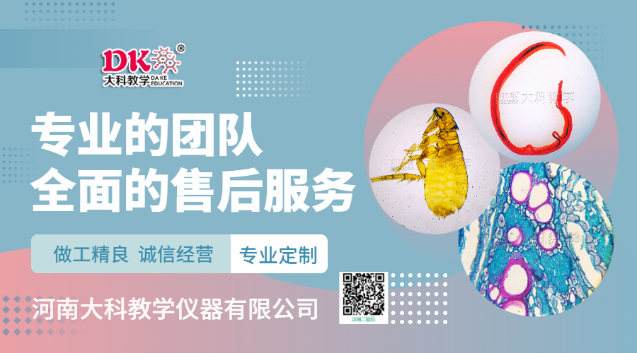 大科官網插圖 (2)